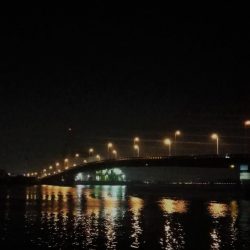 ヘチ釣りinかもめ大橋(風無し、でも極寒のカモメ釣行)